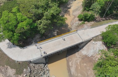 puente neme